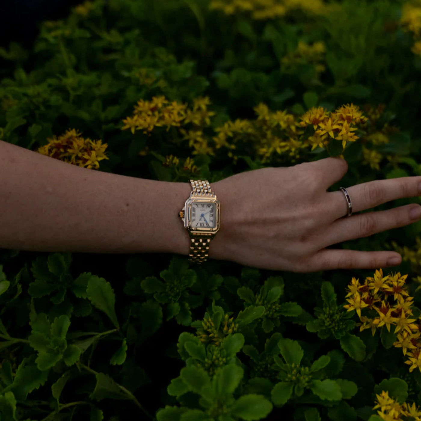 Wentworth© Calista | 14K Gold